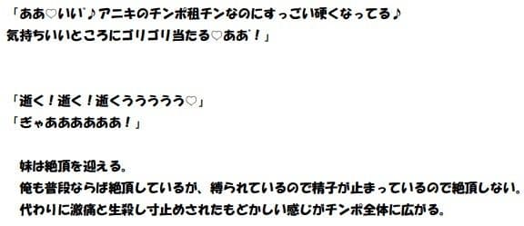 ギャル妹に童貞を奪われたオタク兄 サンプル 6