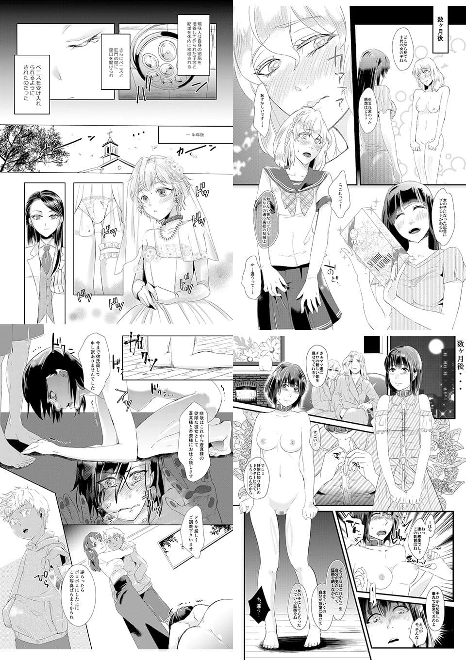 恥辱庵全集〜性転換羞恥編〜 サンプル 1