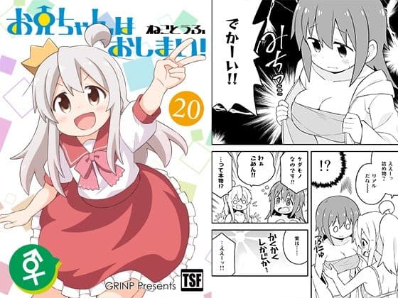 お兄ちゃんはおしまい！20