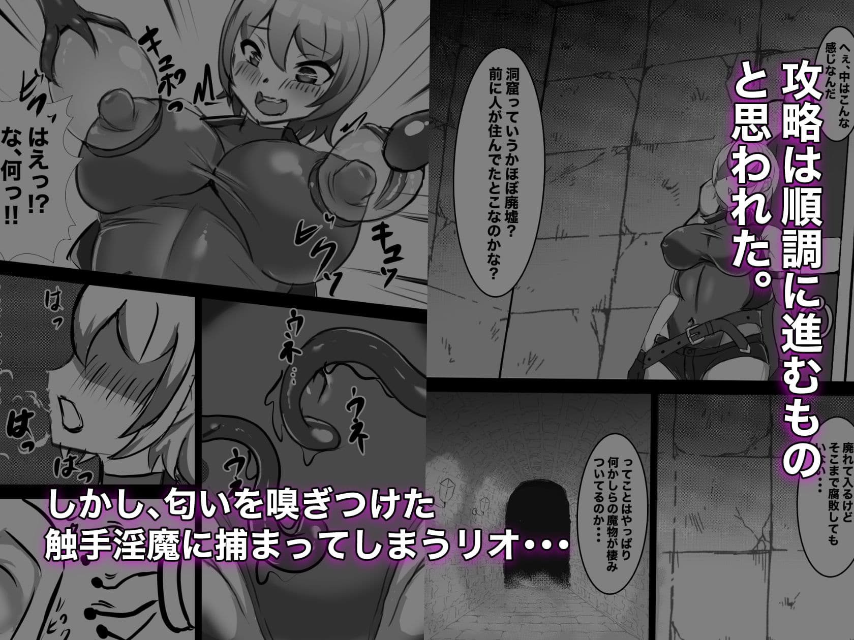 むっつりSランク冒険者、触手淫魔に捕らわれレベル排泄 ＆ メス堕ち完全敗北 サンプル 2