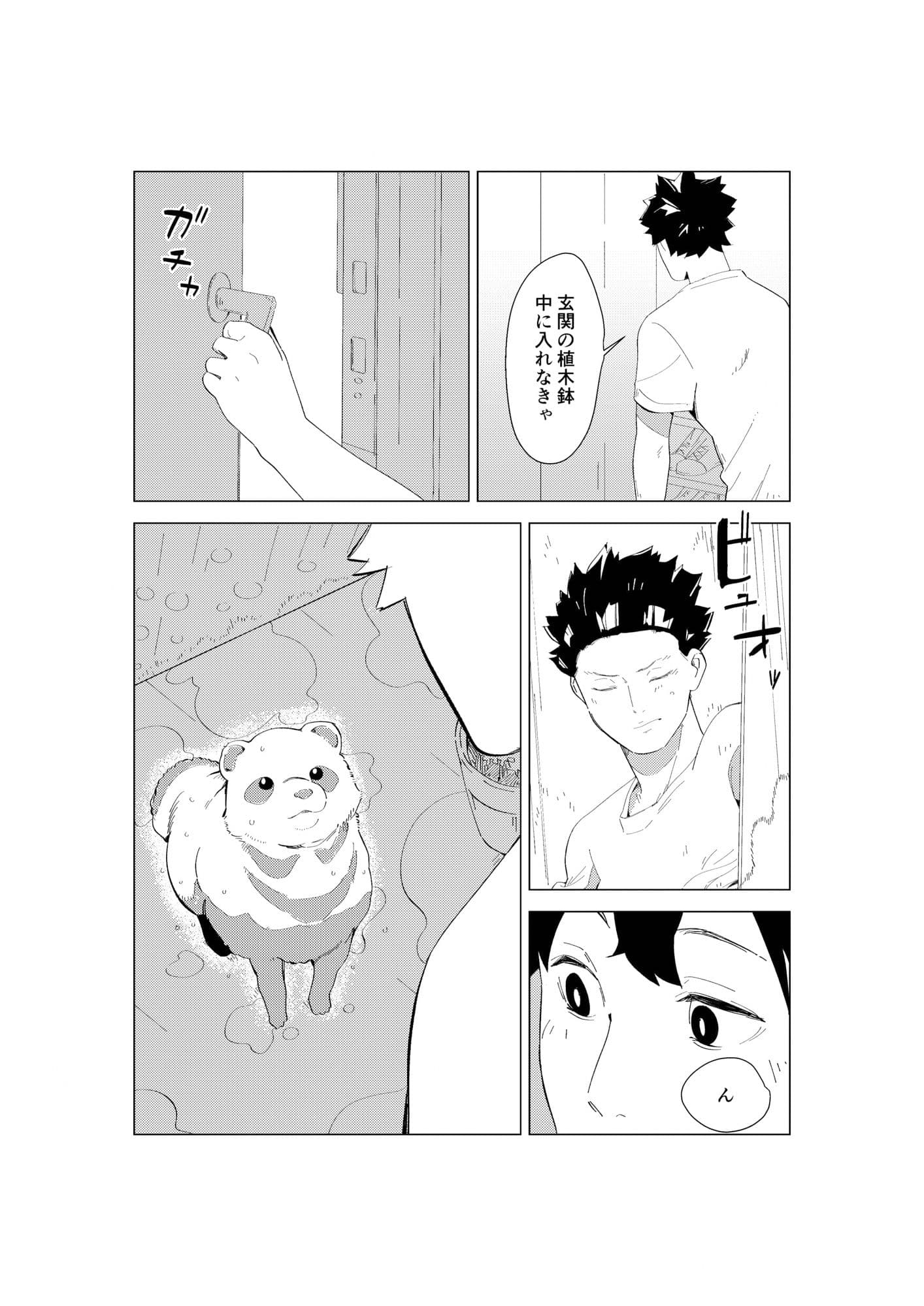 狸の恩返し サンプル 2