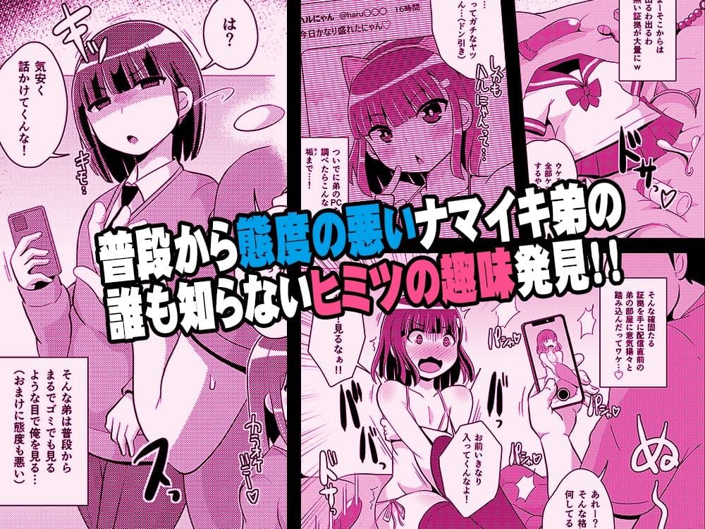 ナマイキ弟の精嚢をこねくり回してメス♂にする本 サンプル 1