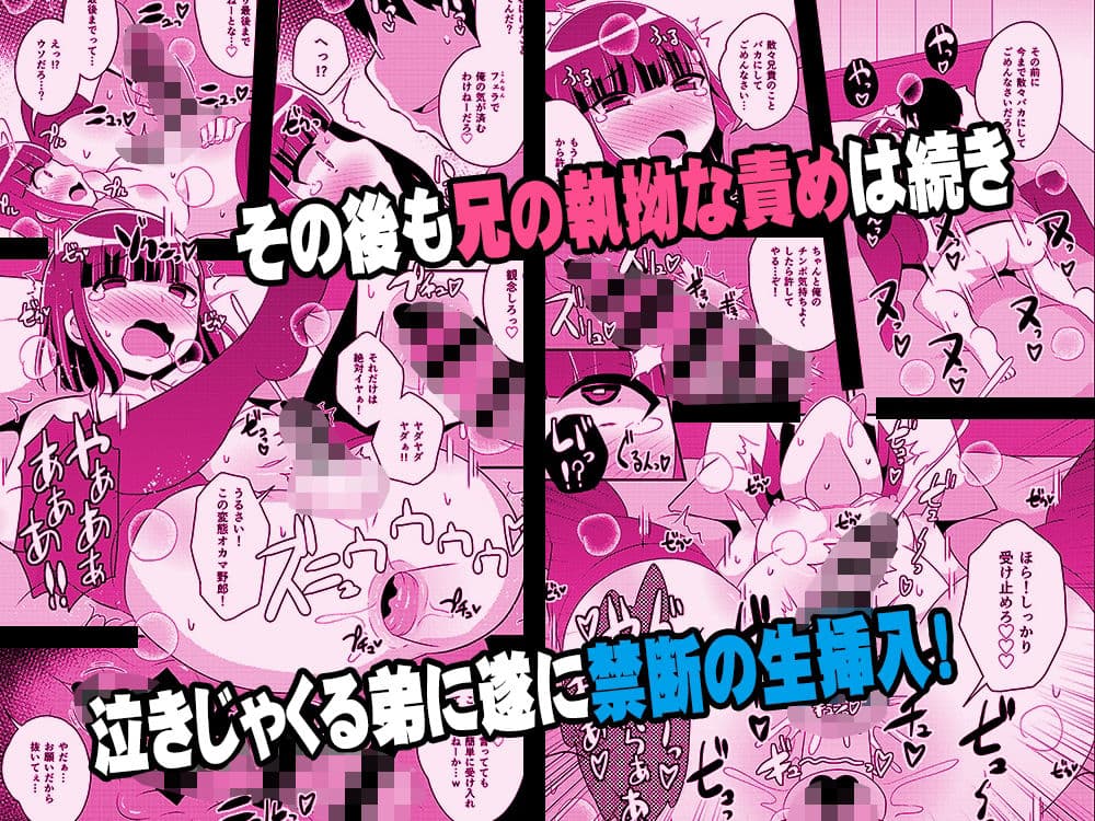 ナマイキ弟の精嚢をこねくり回してメス♂にする本 サンプル 4