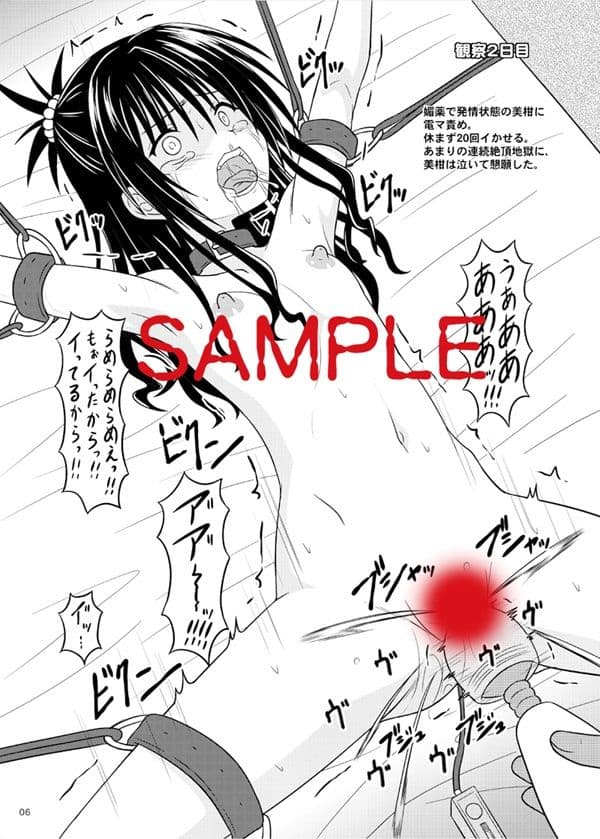 少女調教観察記録 サンプル 2