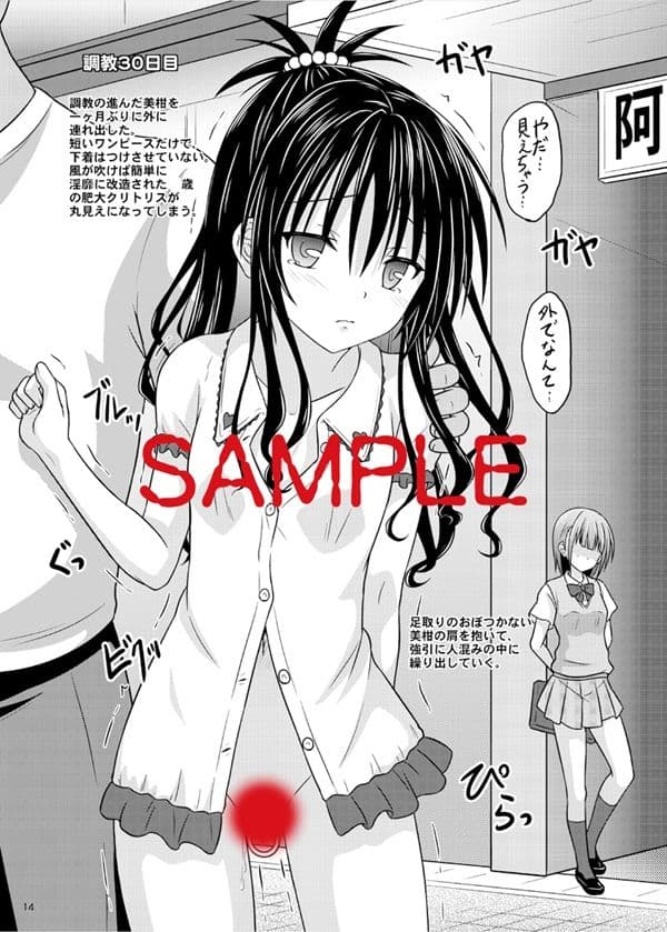 少女調教観察記録 サンプル 4