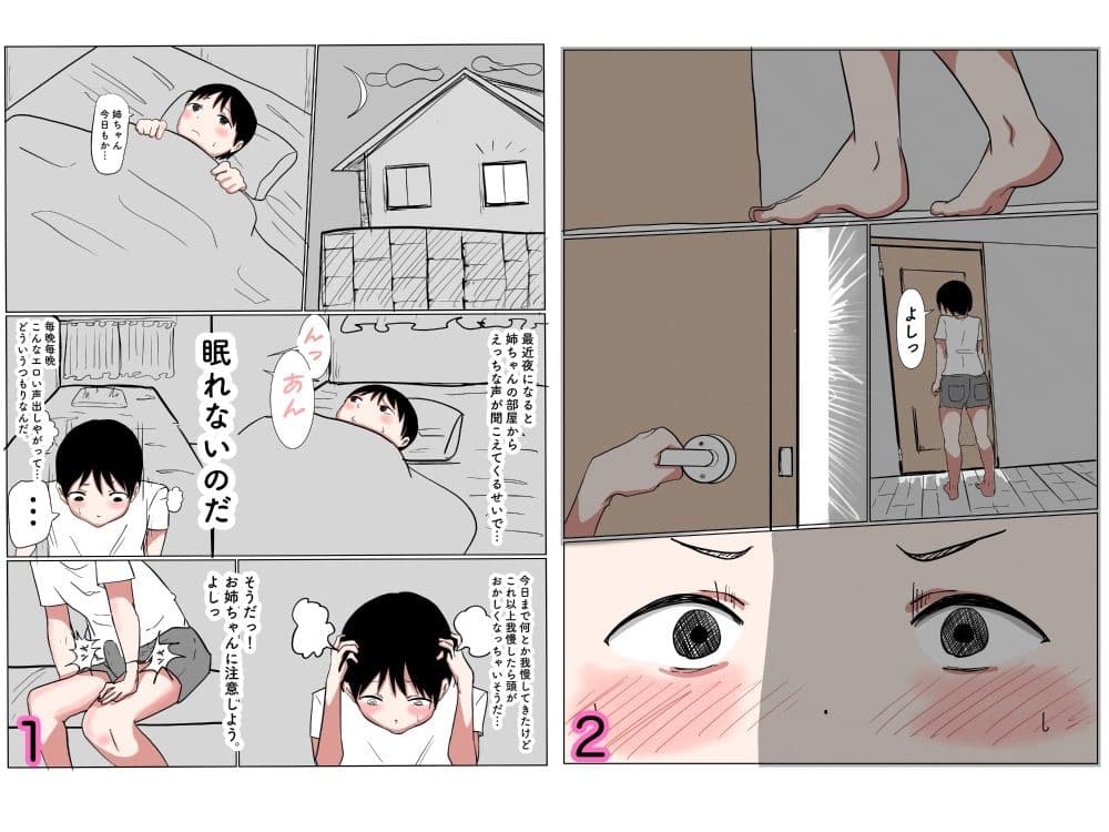 お姉ちゃんと中出しセックスするおとうと サンプル 2