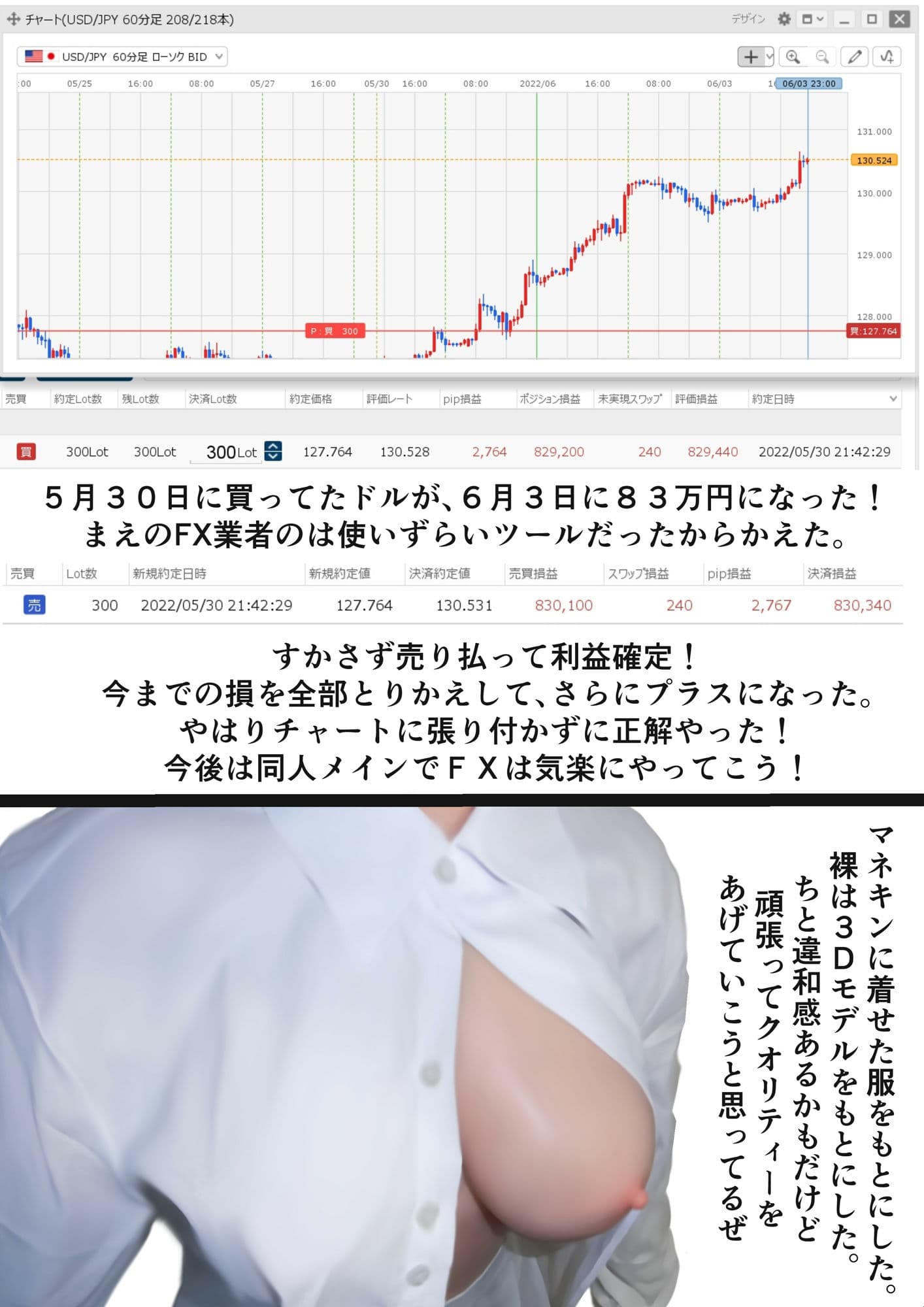 同人絵日記2 同人作家がFX＆制作状況説明 サンプル 8