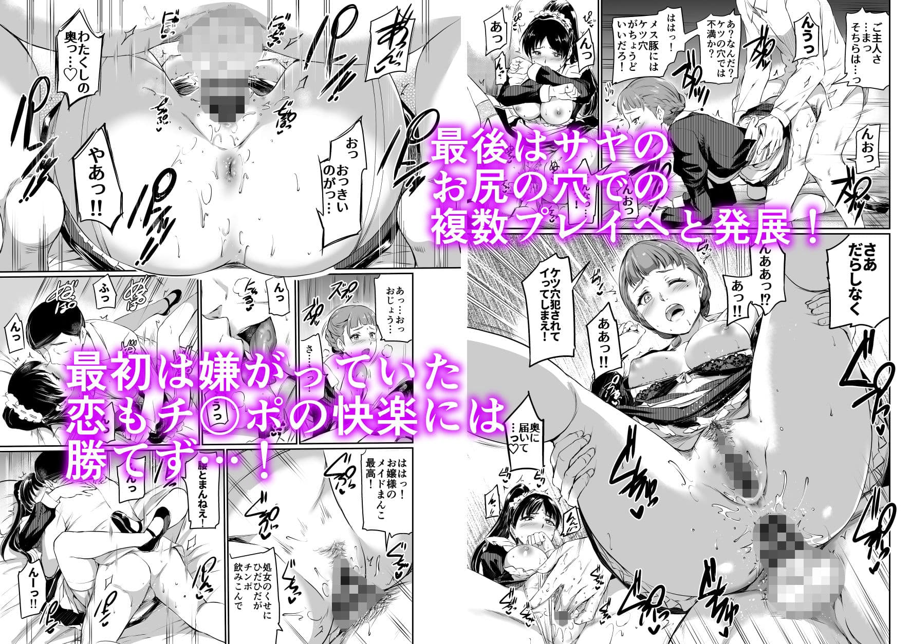 葉月家のメイド事情 サンプル 4