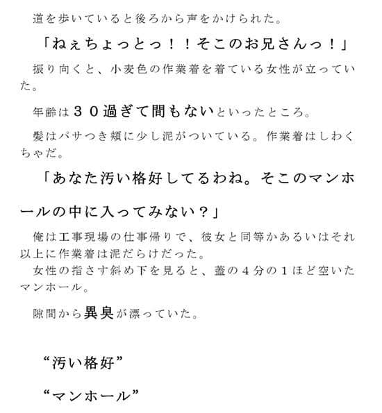 とある異臭漂うマンホールの中の狂ったスカトロ異常人間痴態の話 サンプル 1