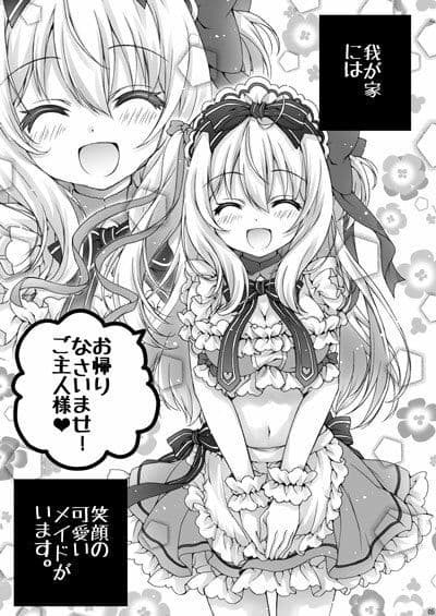 ウチのメイドを紹介します！ サンプル 1