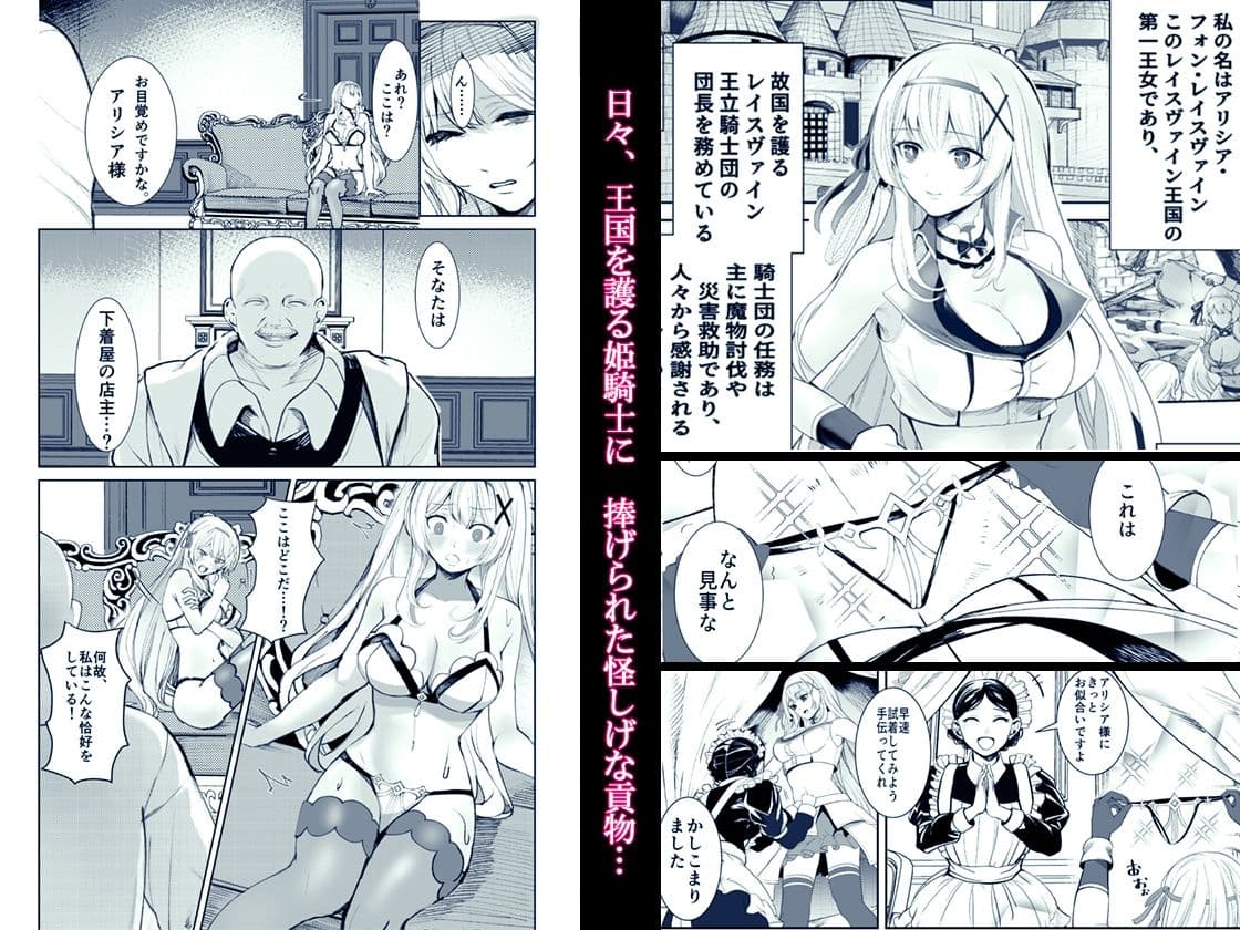 支配の淫紋 ―おっさん店主に淫紋を植え付けられて身も心も征服される姫騎士物語― サンプル 2