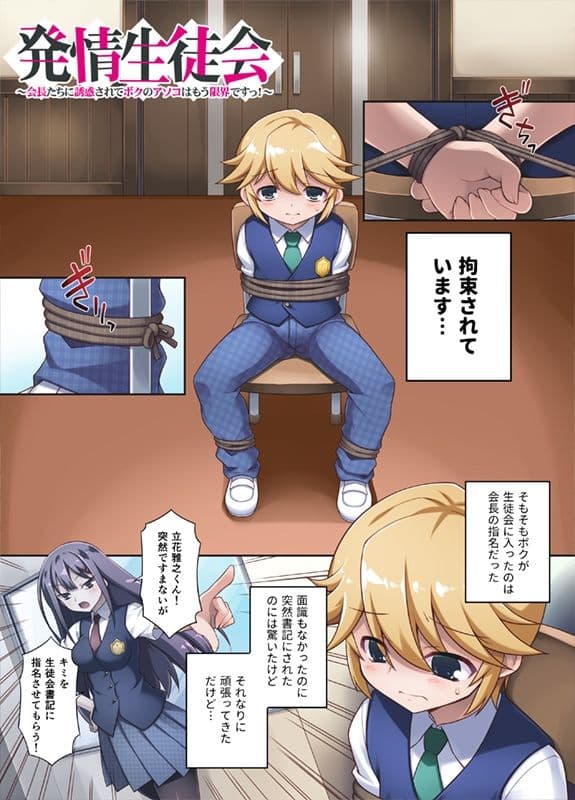 発情生徒会〜会長たちに誘惑されてボクのアソコはもう限界ですっ!〜 サンプル 2