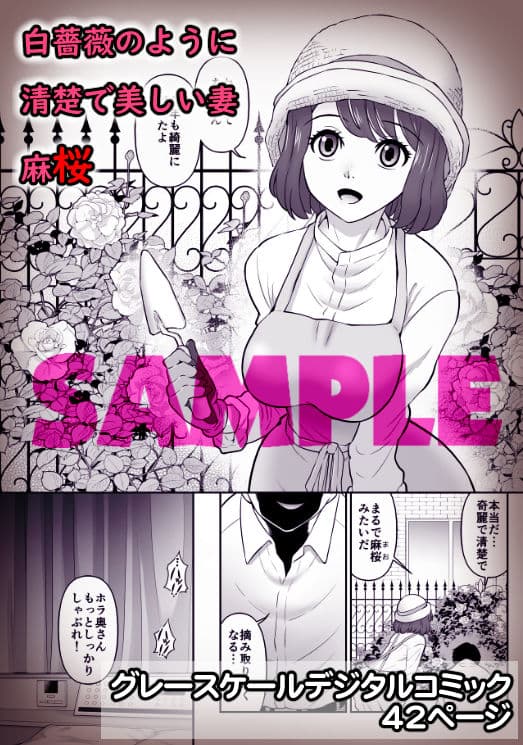 シロバラノキミ サンプル 1