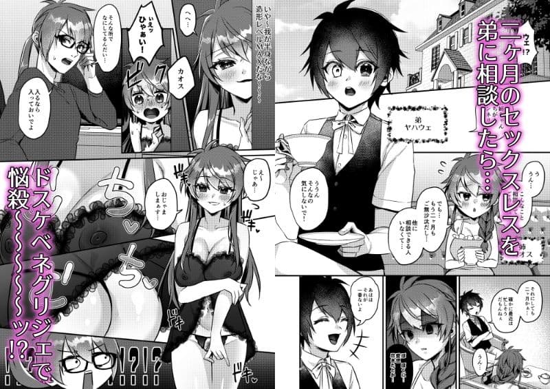 ぼくと僕(きみ)のマンネリ解消法 サンプル 1