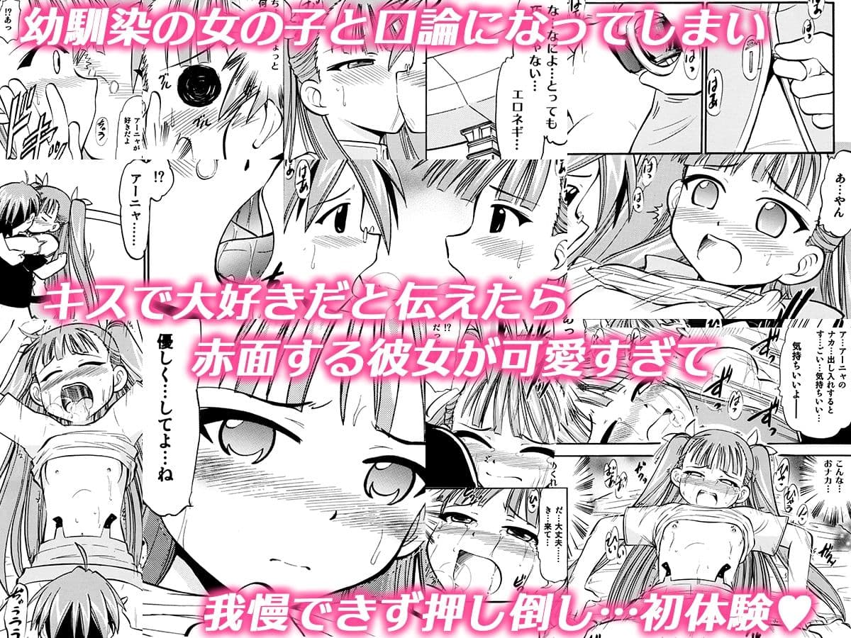 「純愛、出張風俗、道具支配、認識改変、強●隷属」 サンプル 1