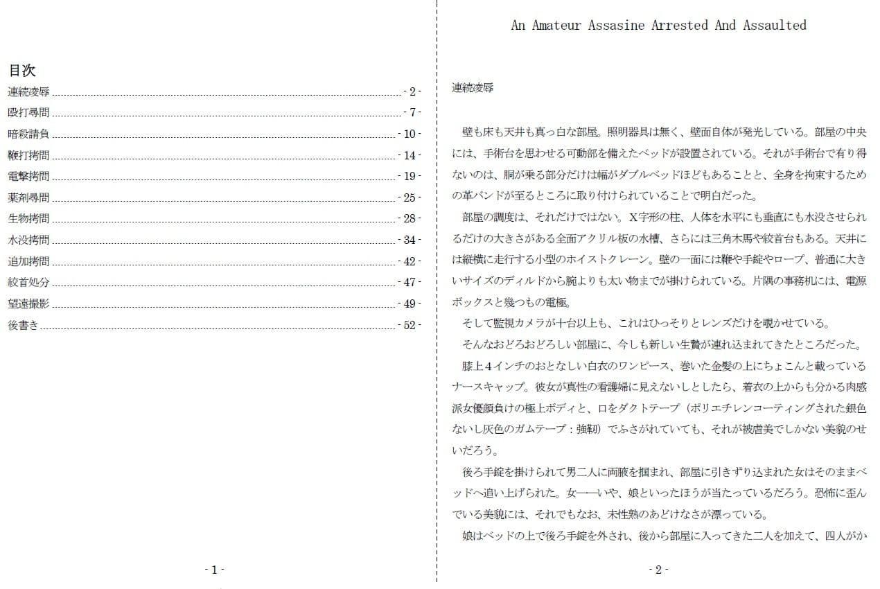 An Amateur Assasine Arrested And Assaulted サンプル 1