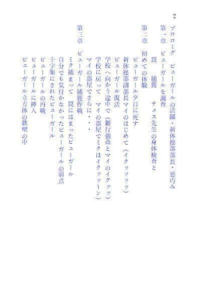 ビューガール サンプル 2