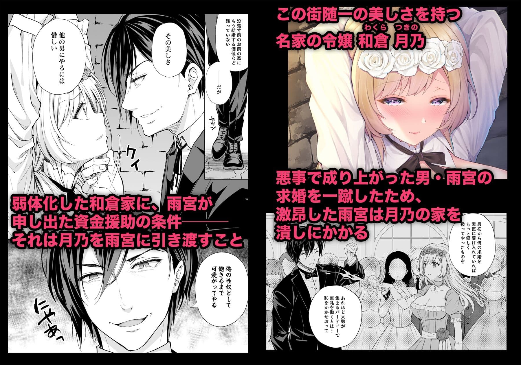 隷嬢の小夜曲 第一楽章 サンプル 1