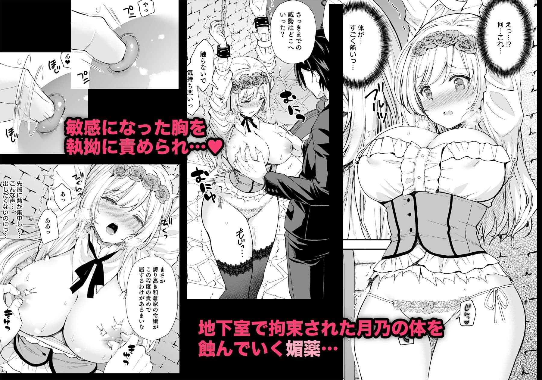 隷嬢の小夜曲 第一楽章 サンプル 2