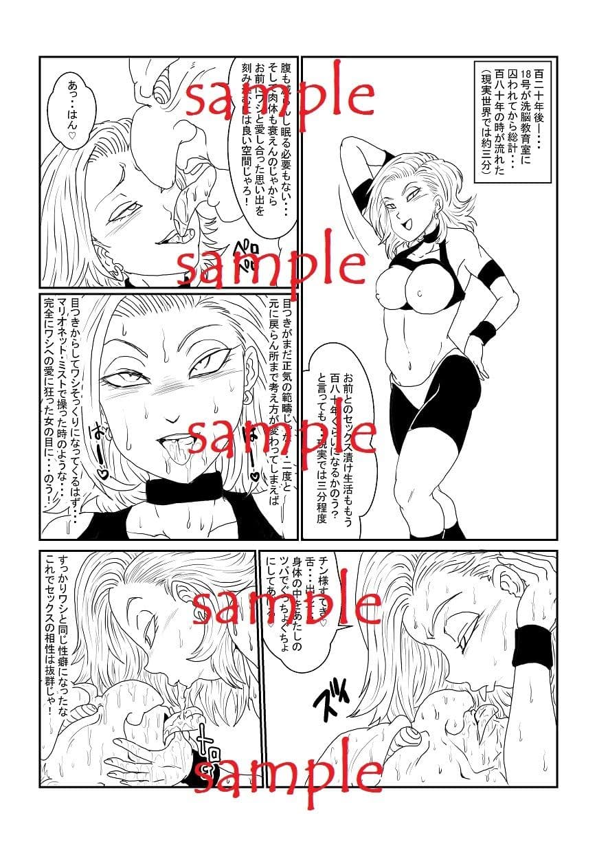 Re:洗脳教育室〜人造人間18号編〜其之一 サンプル 4