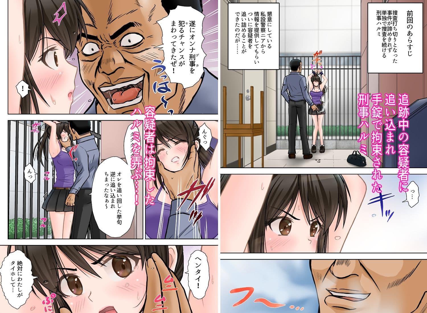 刑事ハルミ(中編) 恥辱の不法侵入 サンプル 1