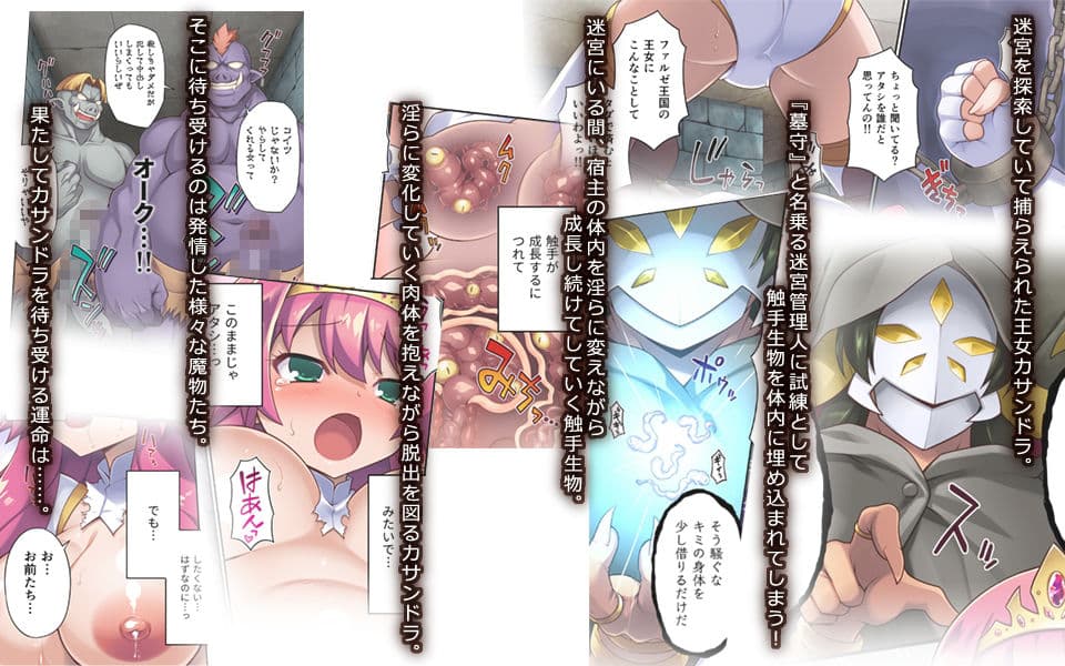 サクリファイスプリンセス〜発情快楽器官へと改造された勇ましき王女〜 サンプル 1