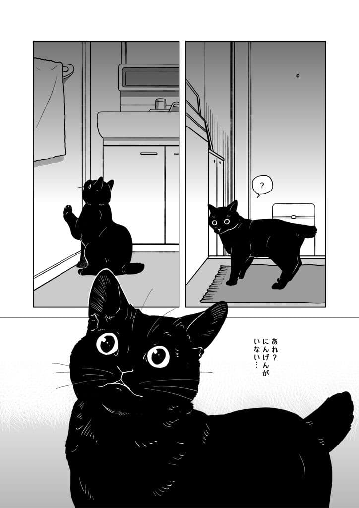 おうちねこじかん サンプル 3