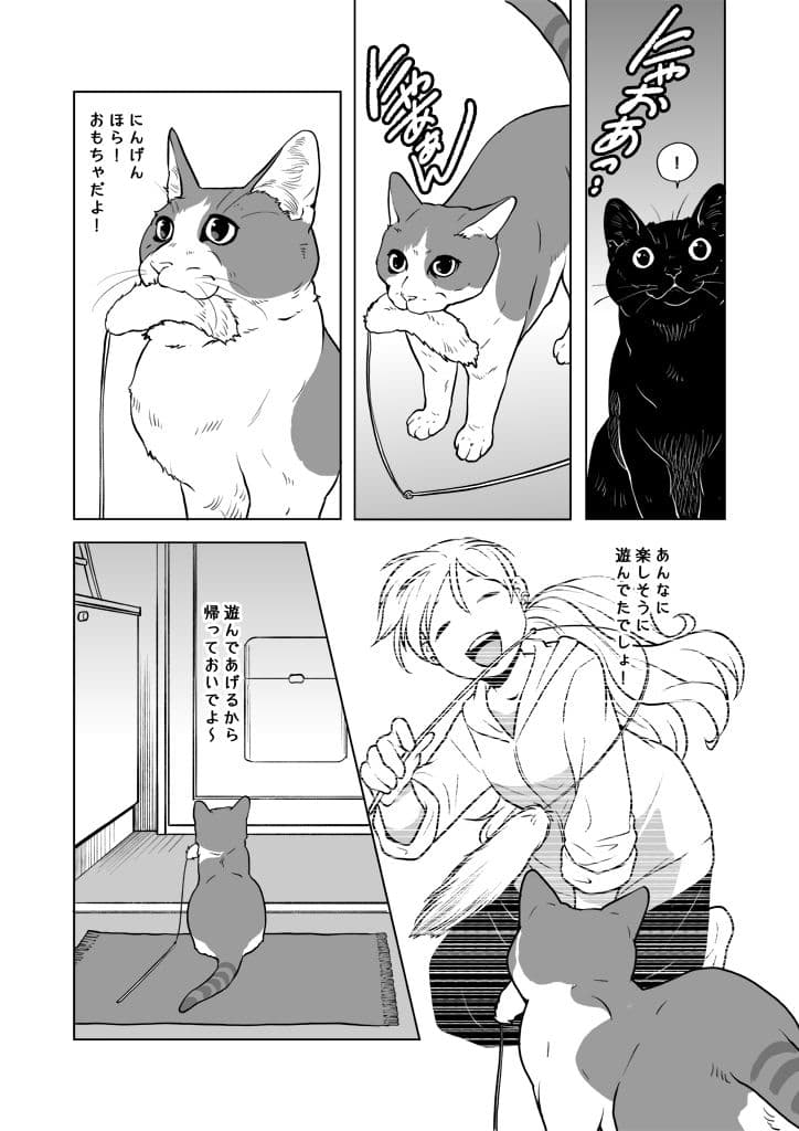 おうちねこじかん サンプル 4