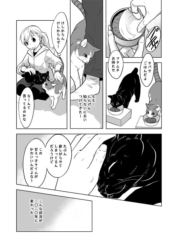 おうちねこじかん サンプル 7