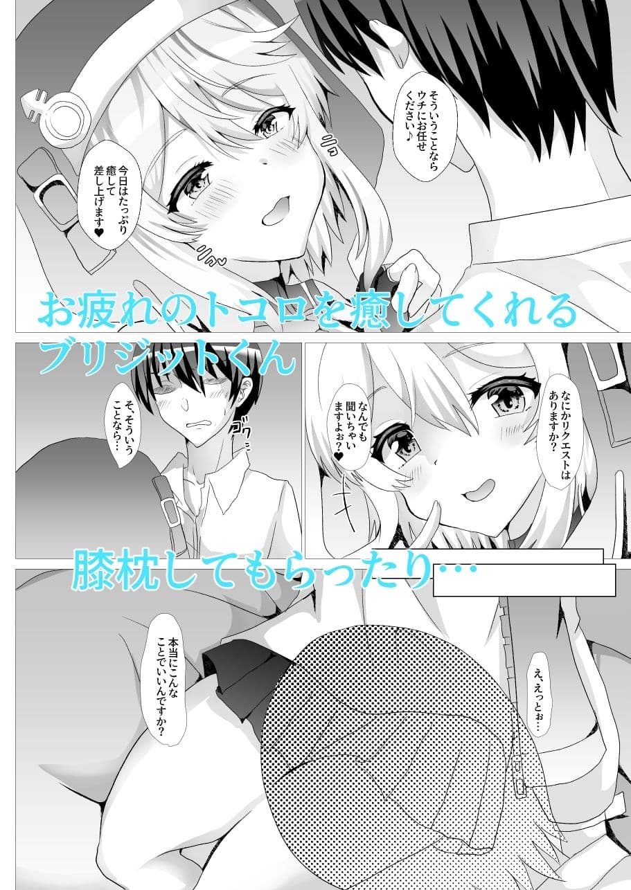 ブリジット詰めあわせ サンプル 1