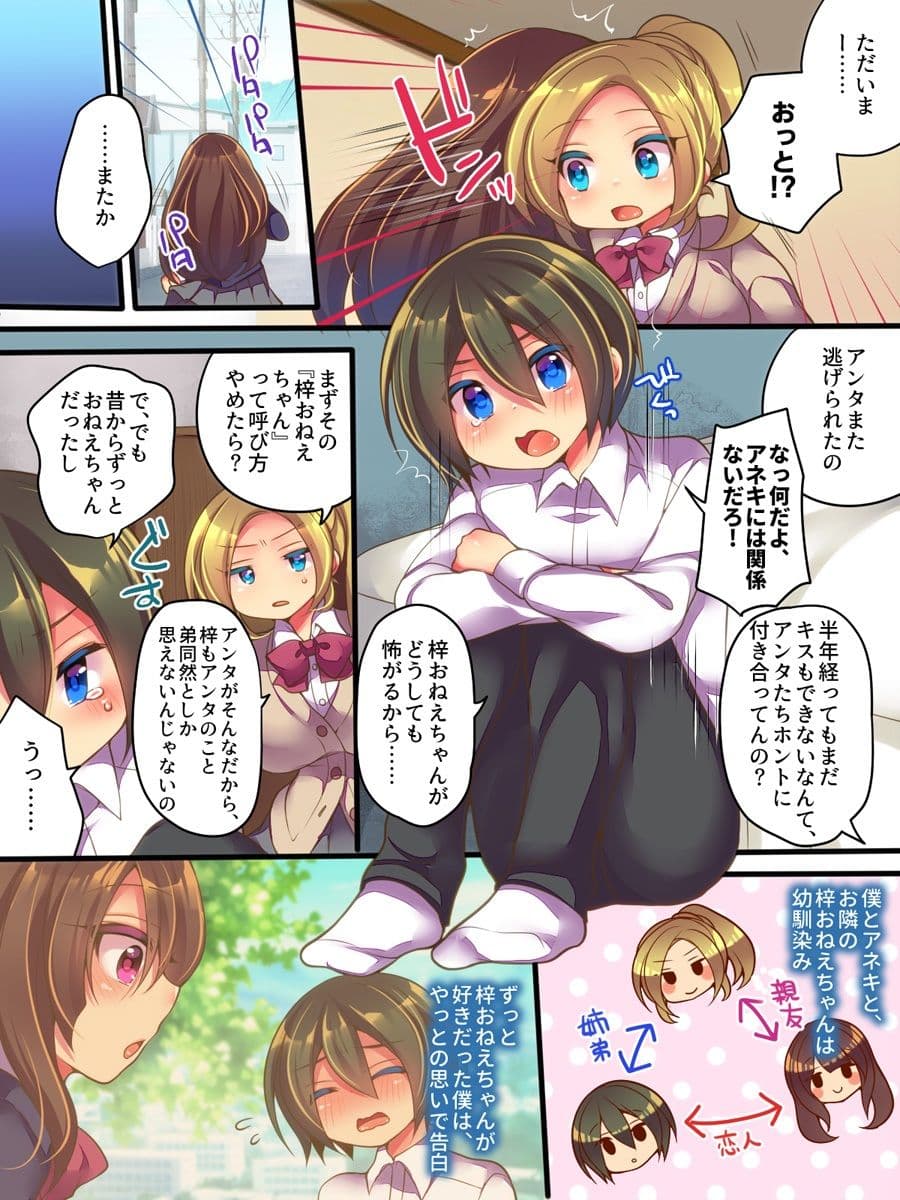 おかし詰め合わせパック・れいとうみかん味その6 サンプル 1