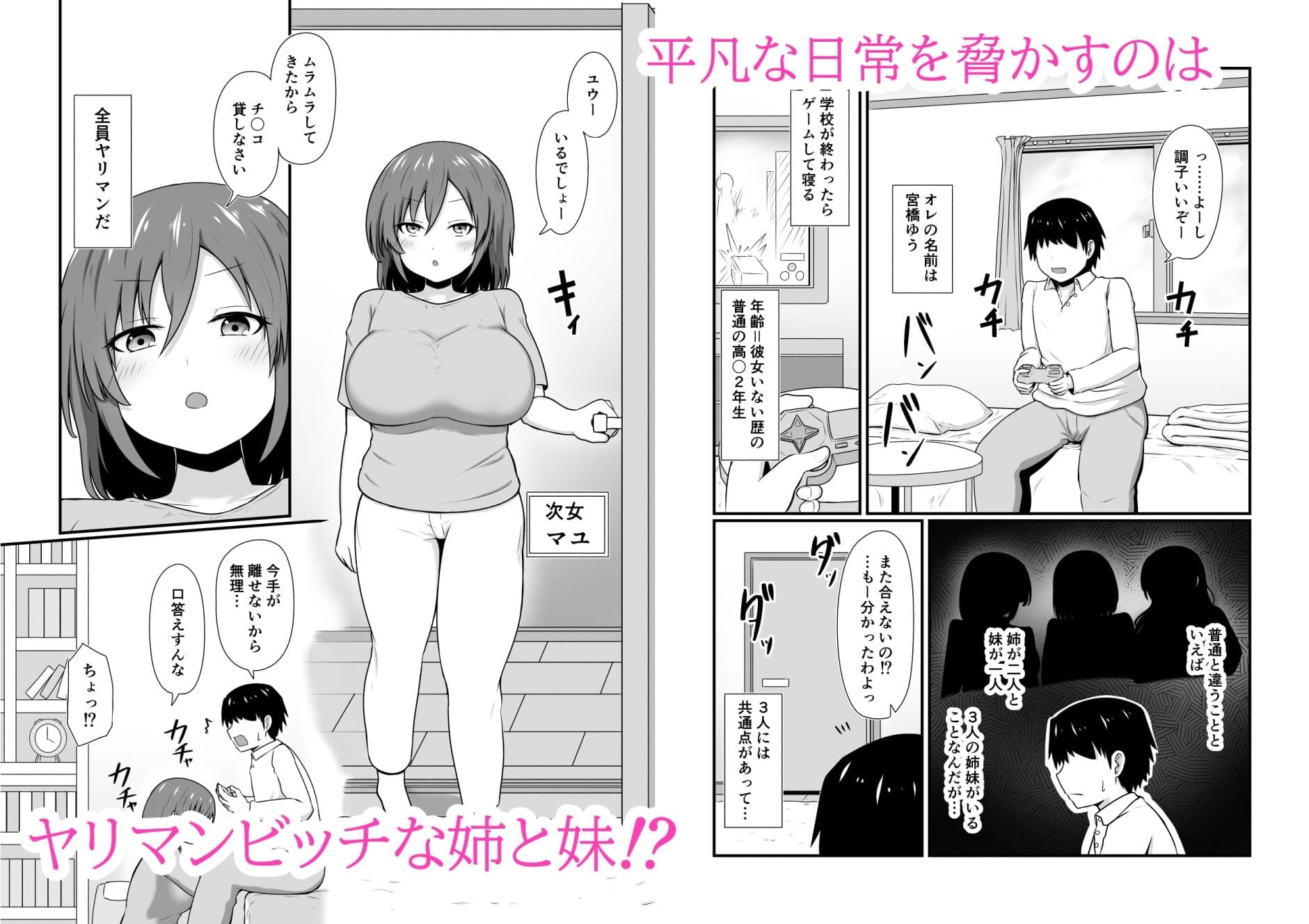 ヤリマン三姉妹と絶倫チ〇ポ弟の即ハメ日常生活 サンプル 2