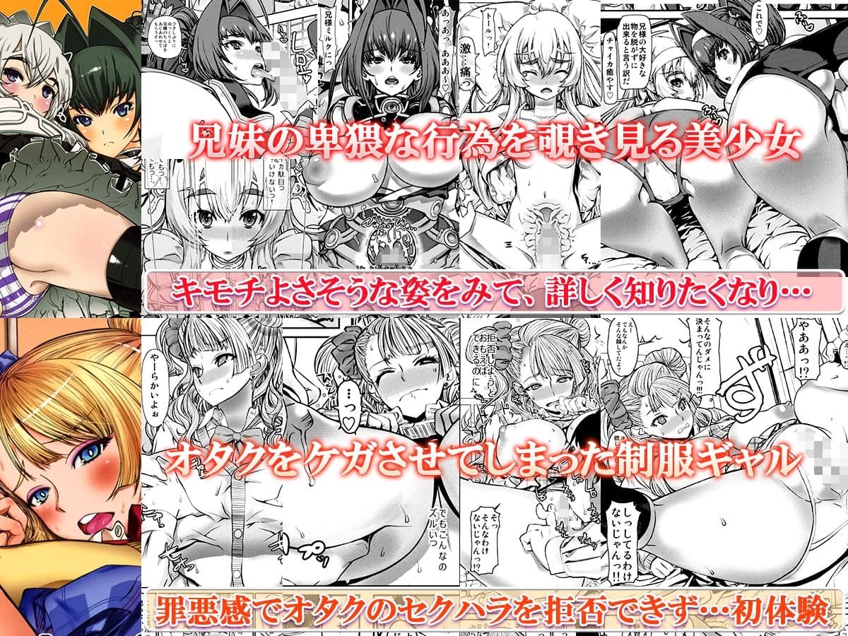 レオパル本総集片6 サンプル 2