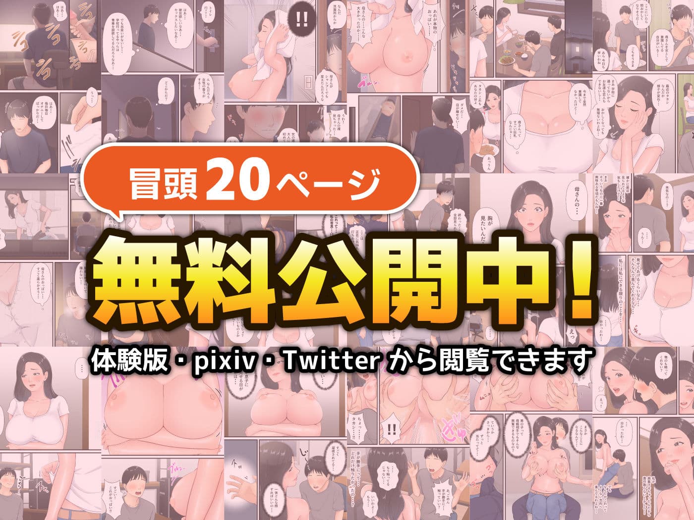 まともな母親が息子のチンポに堕ちるまで サンプル 10