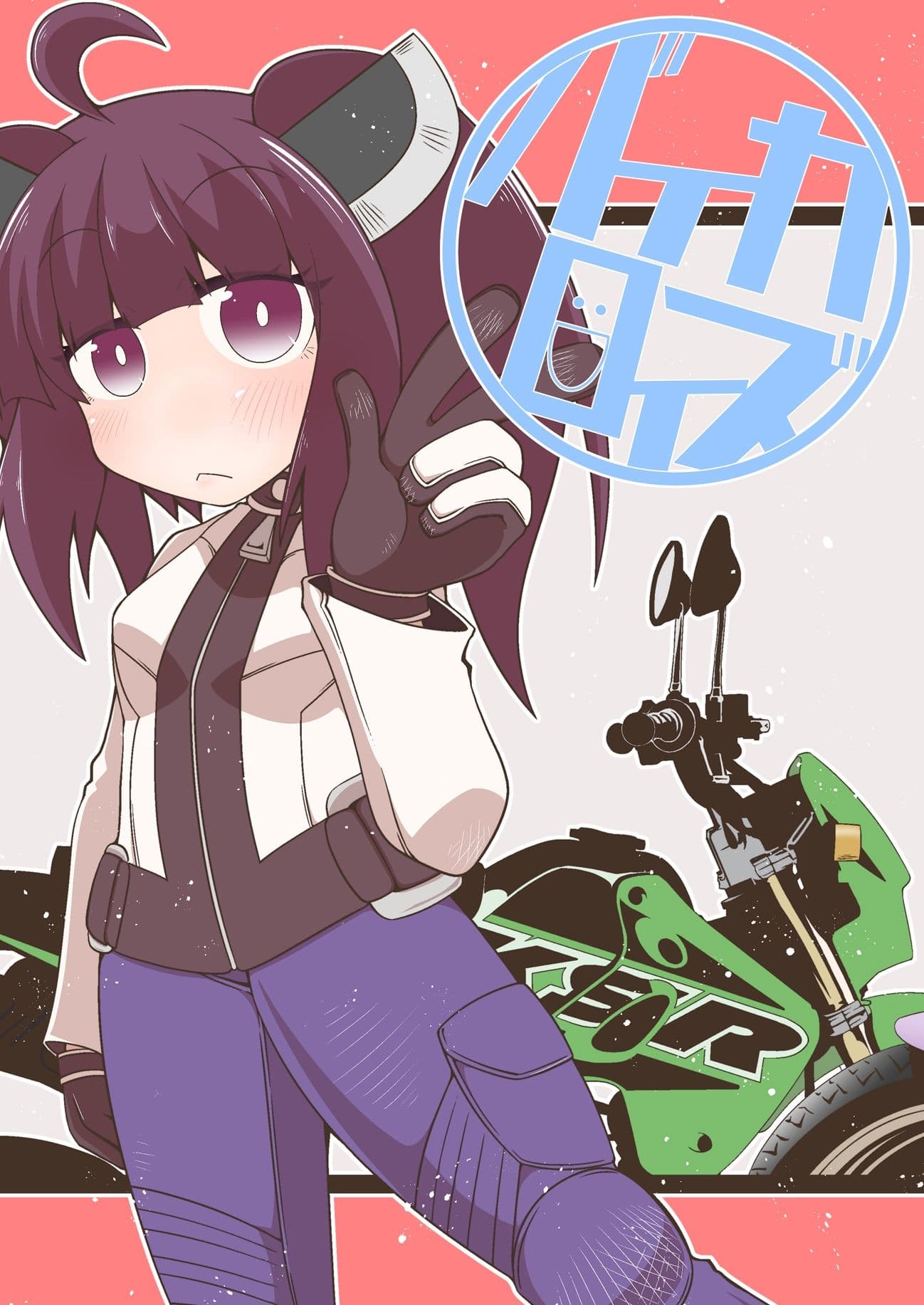 バイカロイズ サンプル 1