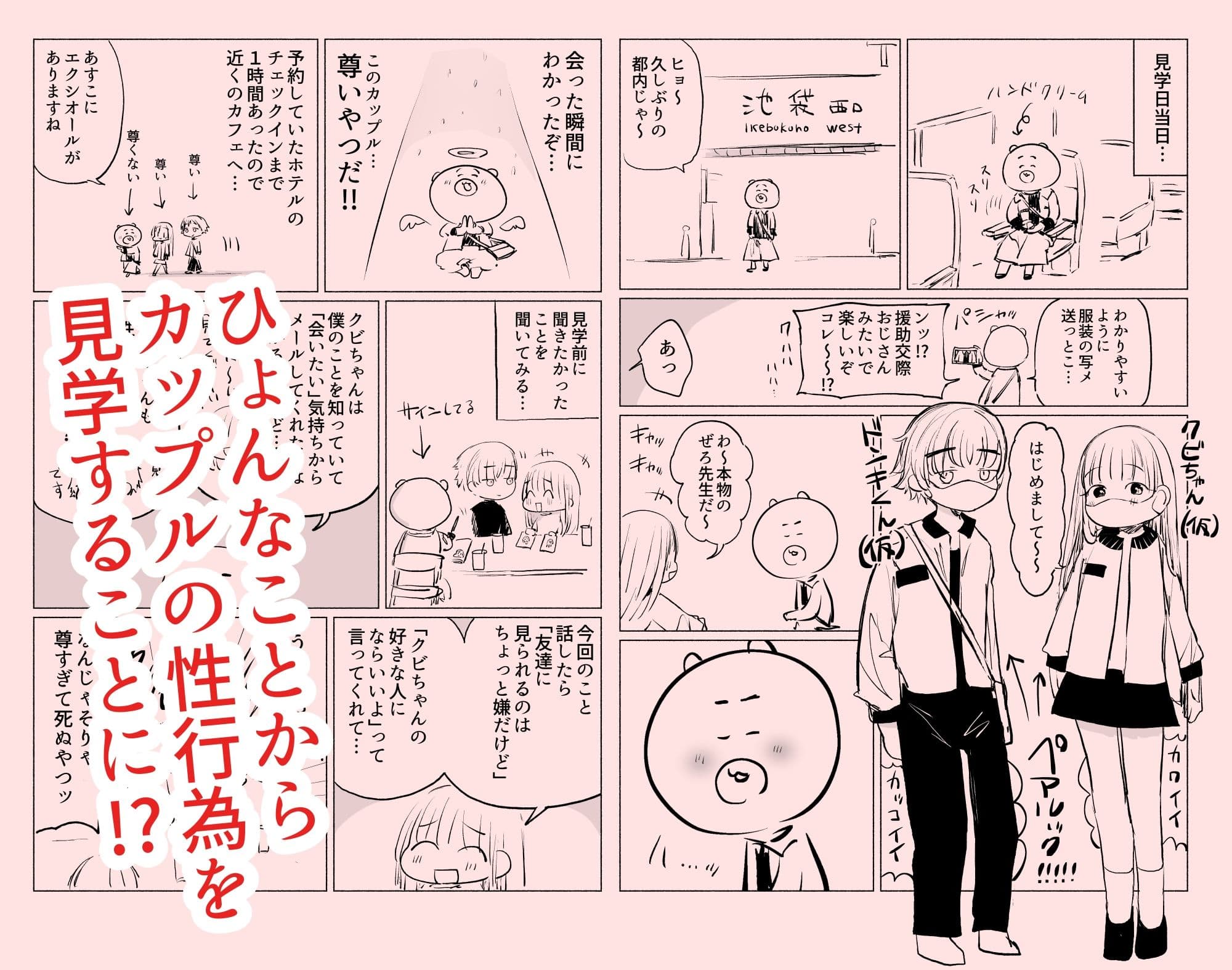 カップルの性行為見学してきたレポ サンプル 1