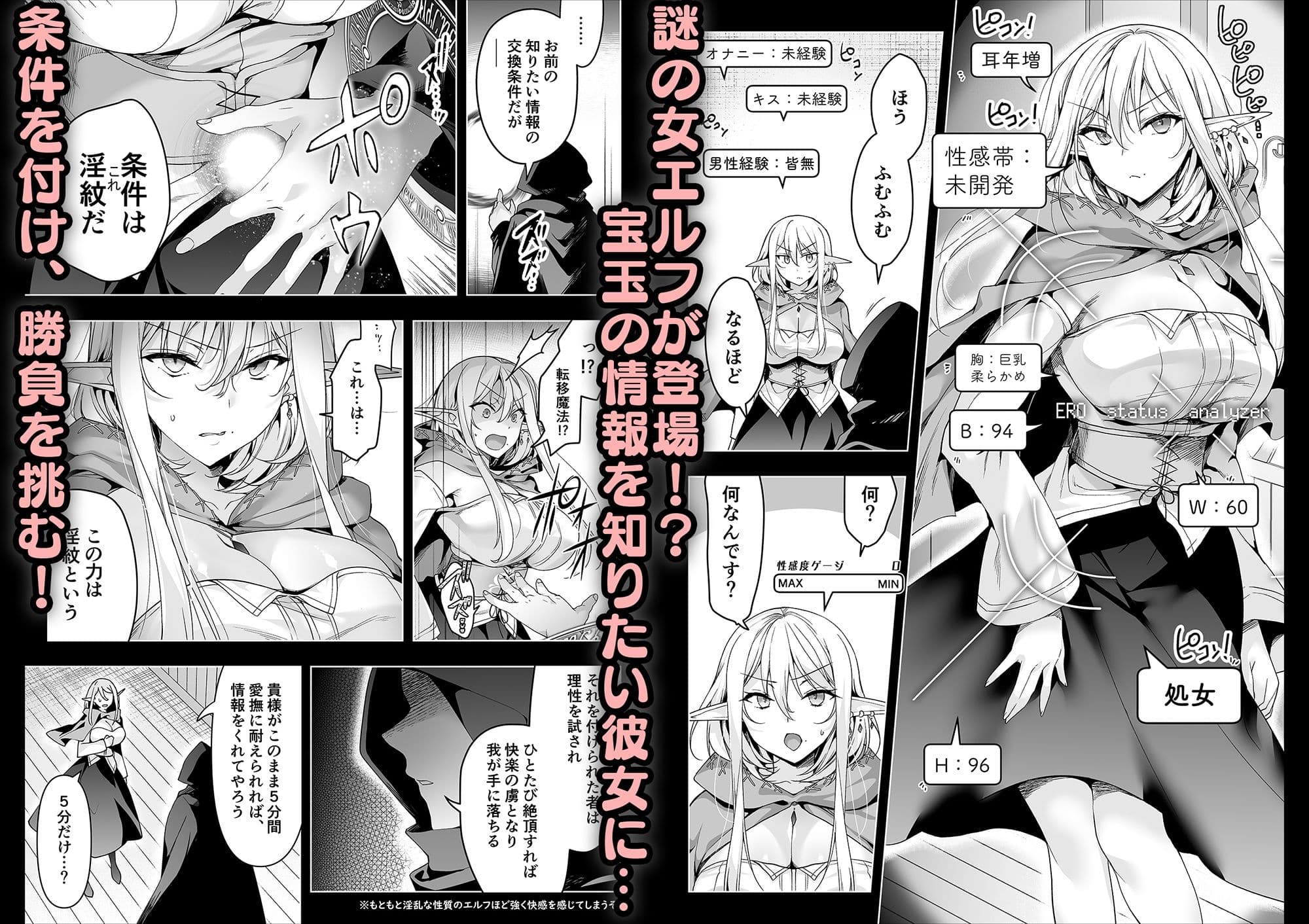 エルフに淫紋を付ける本 LEVEL:6 サンプル 5