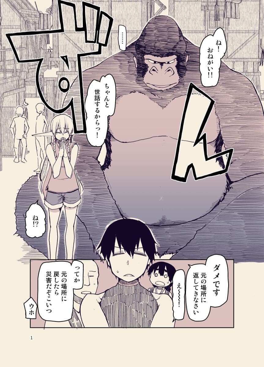 ドスケベエルフの異種姦日記9 サンプル 1