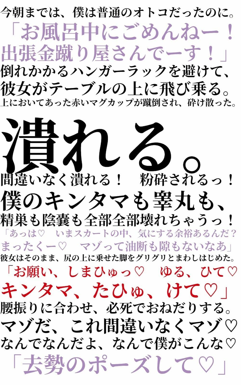 金蹴り去勢屋さんが征くっ！ 《実験編・自宅強襲編》 サンプル 2