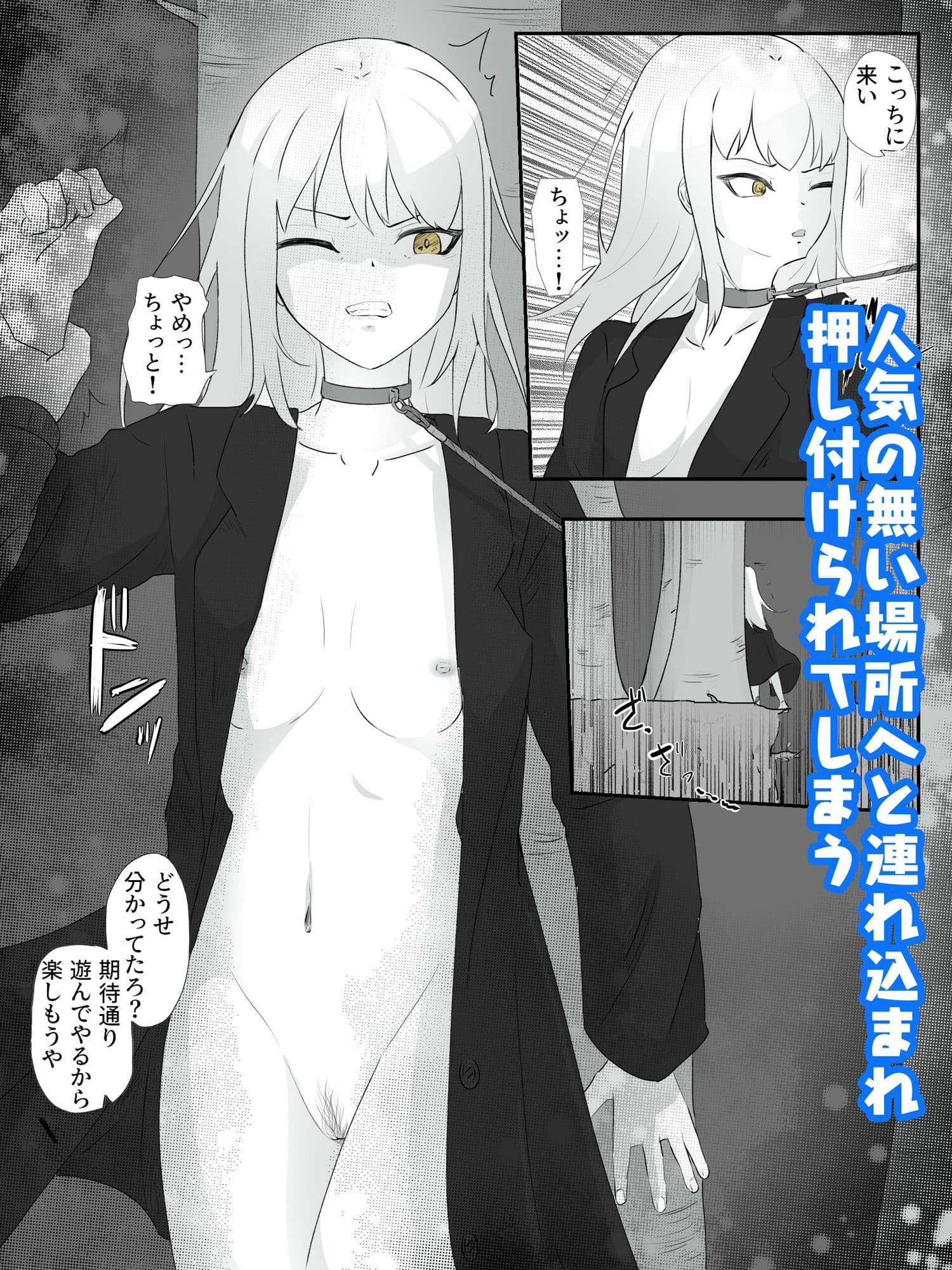 公園に裸コートで呼び出され首輪をつけられ青姦調教される ハメられ調教2 サンプル 2