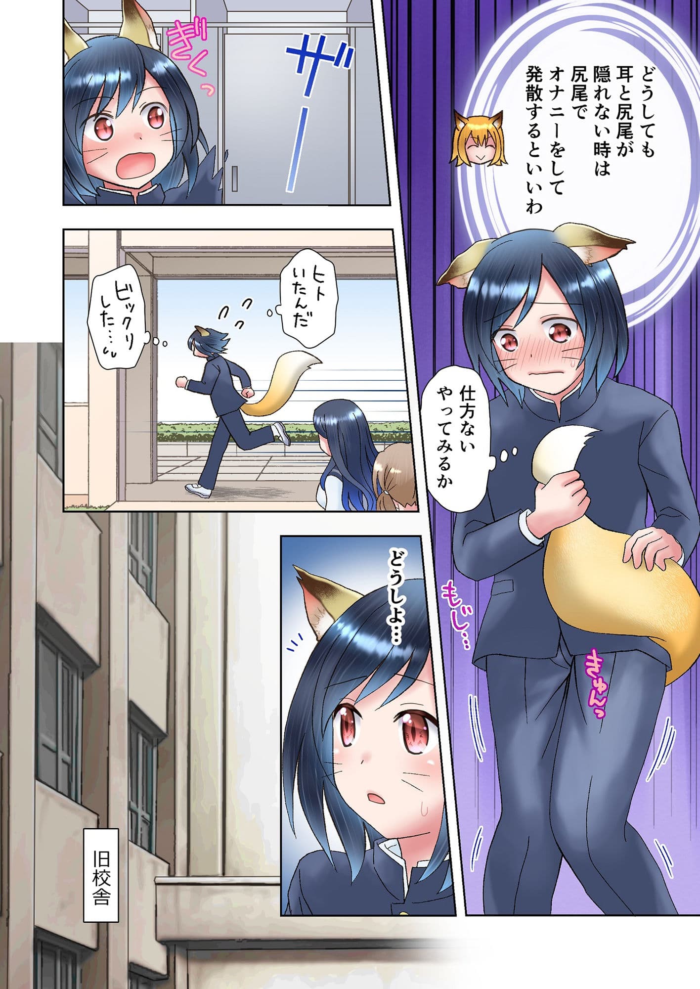 先輩の正体が妖狐だと知ってしまったら、眷属化されてしまった件 サンプル 7