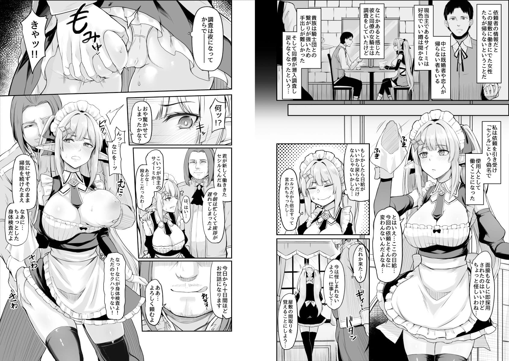 ELFIN QUEST ＃メイド催●陵●編 サンプル 2