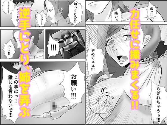 姉ちゃんはAV 女優 サンプル 2