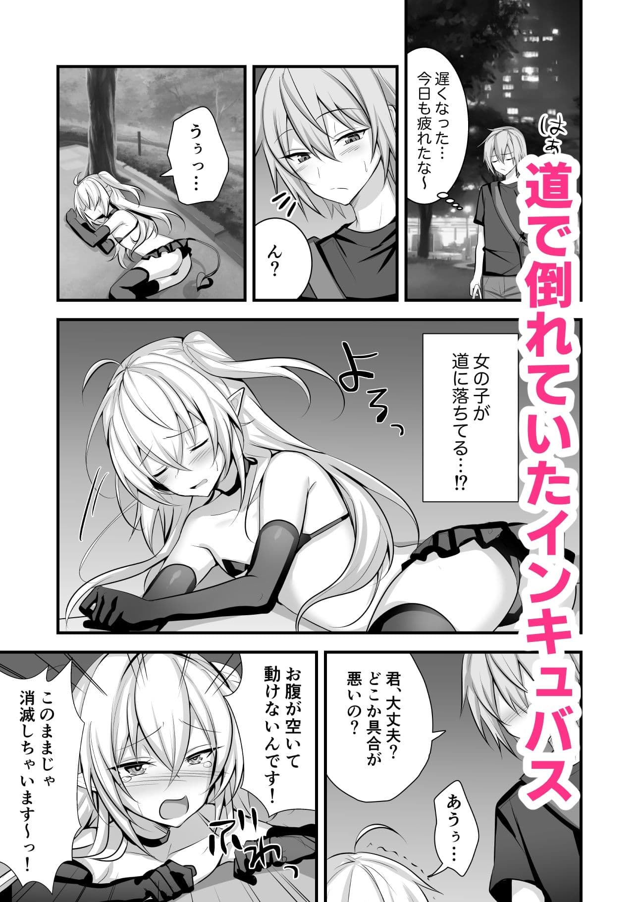 魔力切れしたインキュバスを拾った話 サンプル 1