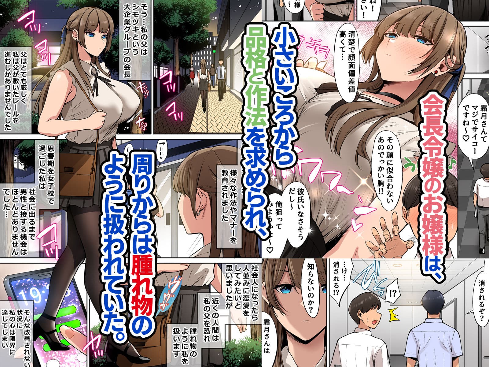 お嬢様はお下品なセックスがお好みです。 サンプル 1