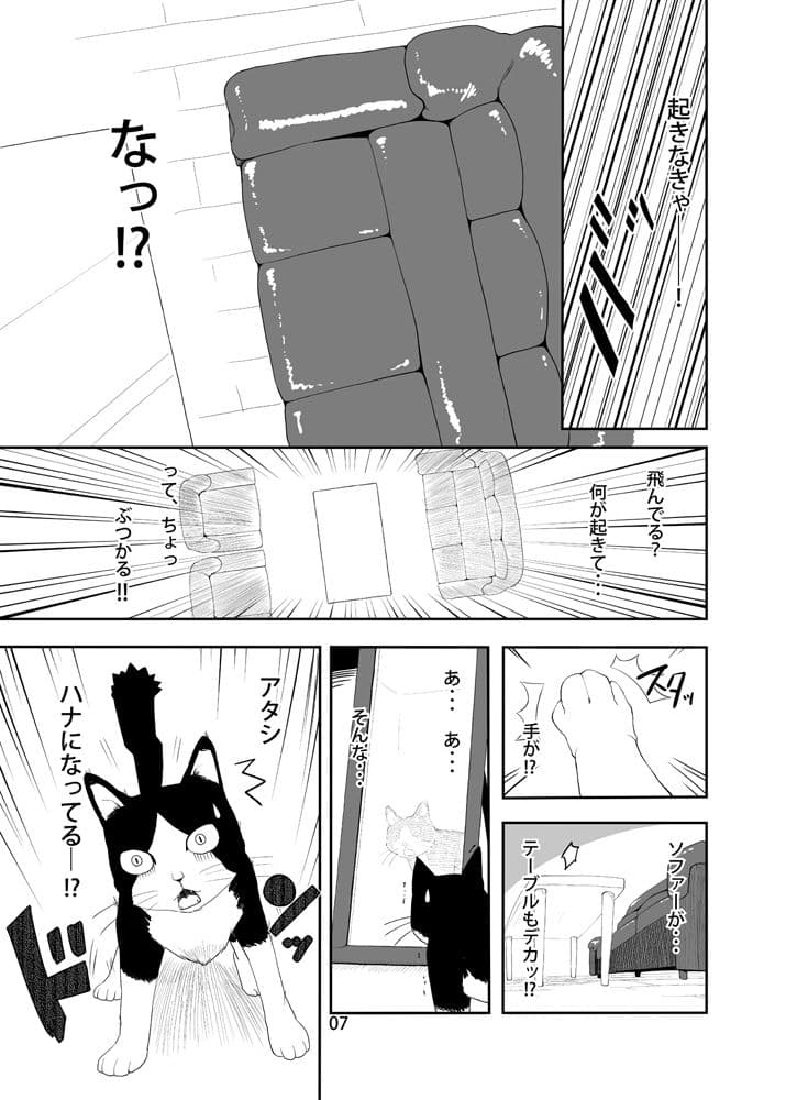 敷波と鎮守府のネコ サンプル 3