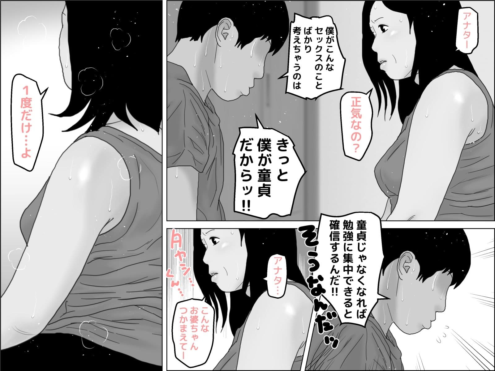 還暦のお婆さんと孫の浪人生は下半身で繋がっている モノクロ版 サンプル 1