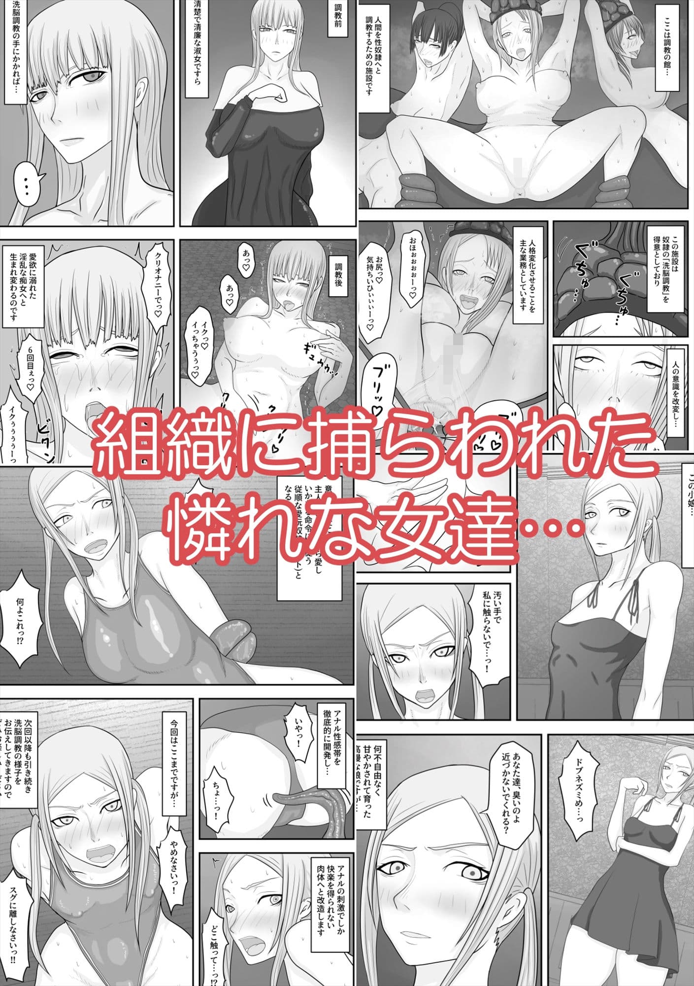 モデル洗脳 排泄奴●調教 サンプル 9