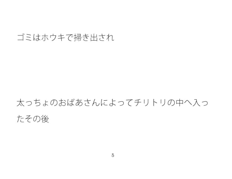 ゴミはホウキで掃き出され太っちょのおばあさんに サンプル 3
