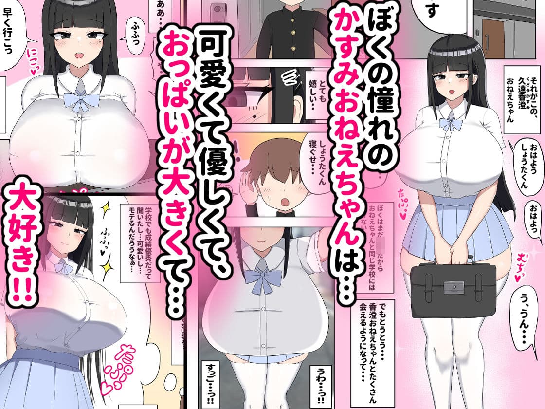 ぼくの好きなおねえちゃんは… サンプル 1